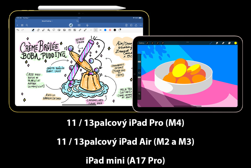 Apple Pencil Pro - Compatibility 2